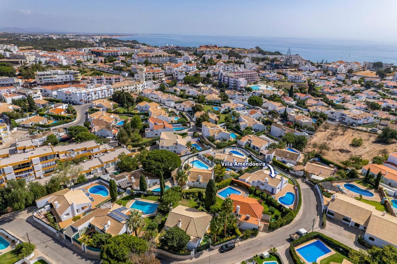 Villa Amendoeira By
